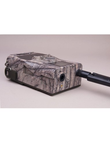 Cámara Fototrampa Ixon-24