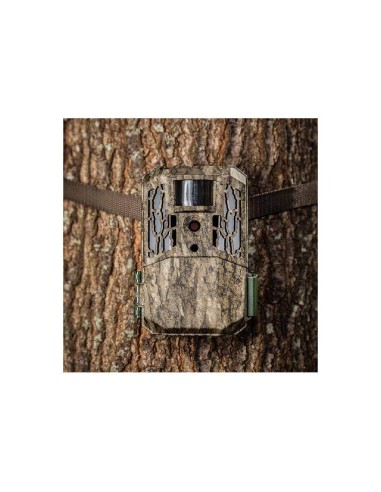 Cámara Primos Auto Pilot 16mp No-Glow