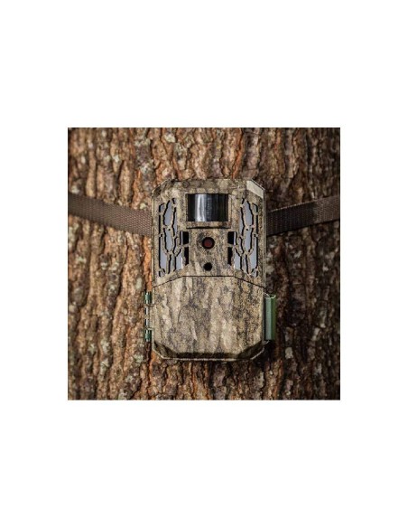 Cámara Primos Auto Pilot 16mp No-Glow