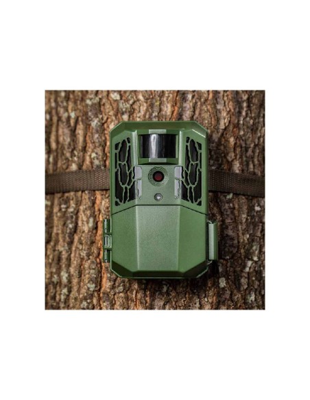 Cámara Primos Auto Pilot 16mp Low-Glow