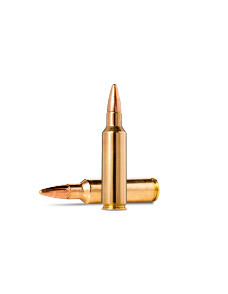 Munición metálica Norma 300 Wsm  -  JakTMatch  -  150 grains