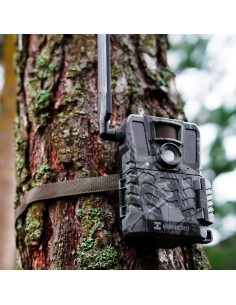 Cámara de Fototrampeo M15 4g Ir 940 NM Hikmicro 2