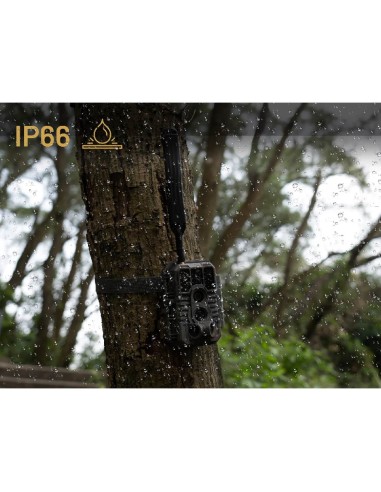 Cámara Gardepro X60 Pro Max (visión en directo)