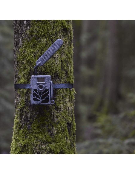 Cámara de Fototrampeo Zeiss Secacam 5