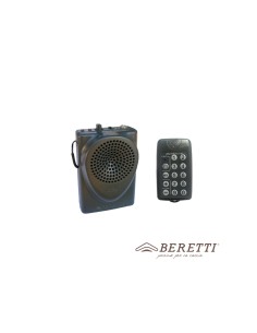 Reproductor digital Beretti C36t (Con Mando)