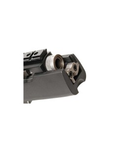 Carabina semiautomática Ruger 10/22 Takedown Target - 22 LR 2