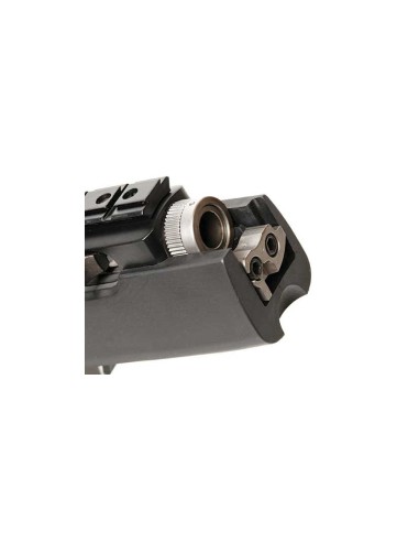 Carabina semiautomática Ruger 10/22 Takedown Target - 22 LR