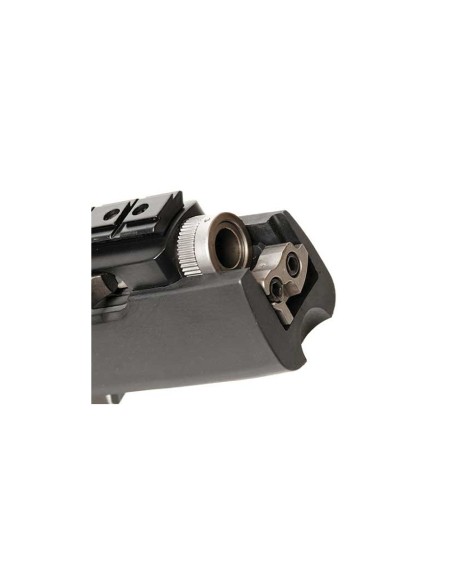 Carabina semiautomática Ruger 10/22 Takedown Target - 22 LR