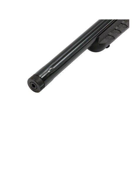 Carabina semiautomática Ruger 10/22 Takedown Target - 22 LR