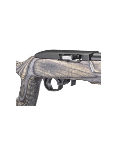 Carabina semiautomática Ruger 10/22 Target - 22 LR