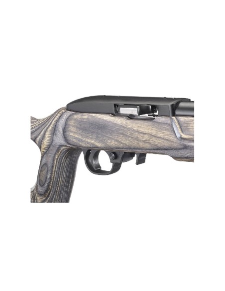 Carabina semiautomática Ruger 10/22 Target - 22 LR