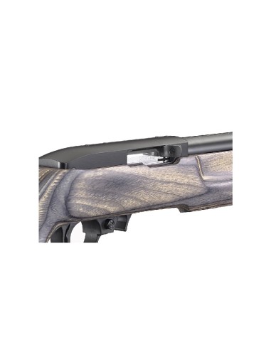 Carabina semiautomática Ruger 10/22 Target - 22 LR