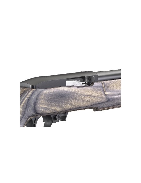 Carabina semiautomática Ruger 10/22 Target - 22 LR