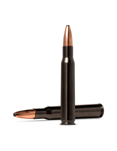 Munición metálica Norma 9,3x62  -  Oryx Silencer  -  185 grains