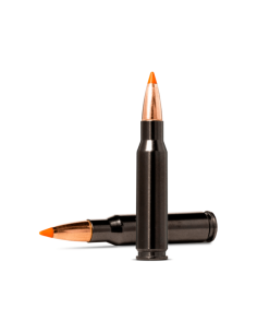 Munición metálica Norma .30-06  -  Tipstrike Silencer  -  170 grains