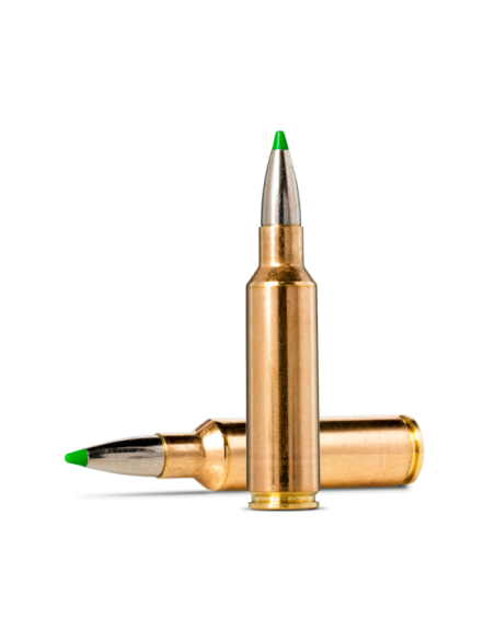 Munición Metálica NORMA .300 WSM - EcoStrike - 165 grains