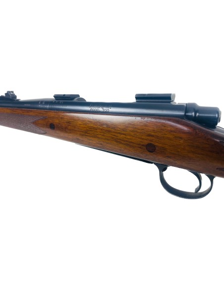 Rifle Remington 700 Ref.0809