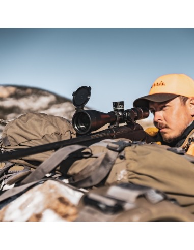 Visor Burris Veracity