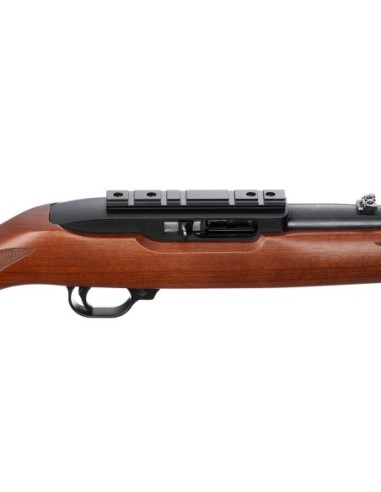 Carabina semiautomática RUGER 10/22 Sporter c/m - 22 LR