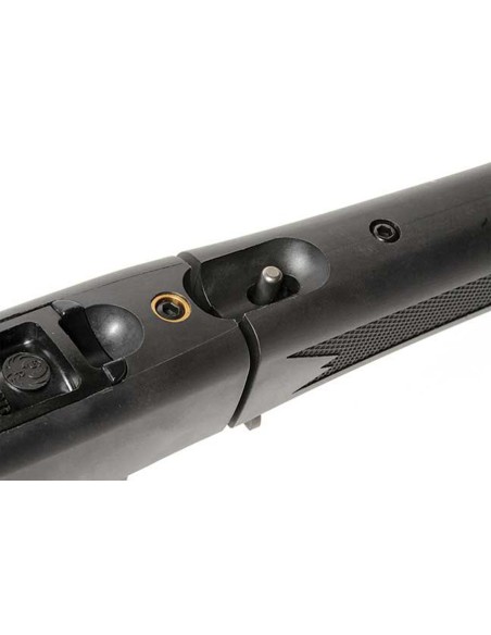 Carabina semiautomática RUGER 10/22 Takedown c/m - 22 LR