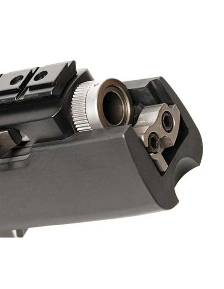 Carabina semiautomática RUGER 10/22 Takedown c/m - 22 LR