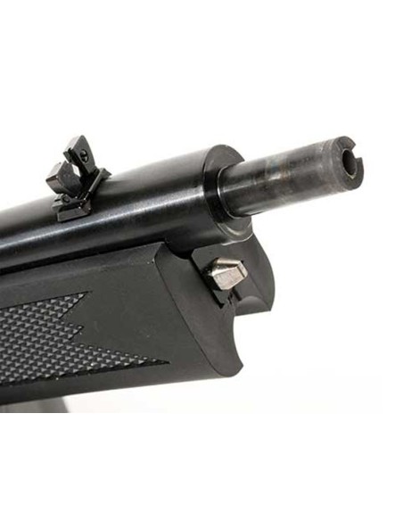 Carabina semiautomática RUGER 10/22 Takedown c/m - 22 LR