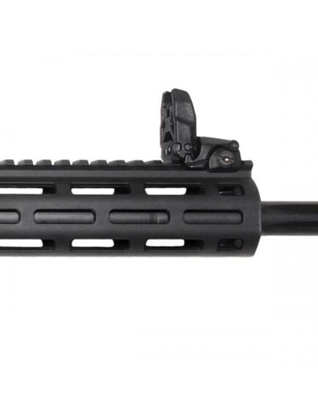 Carabina semiautomática Smith & Wesson M&P15-22 Sport PC