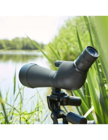 Telescopio NOBLEX NS 20-60x80 ED