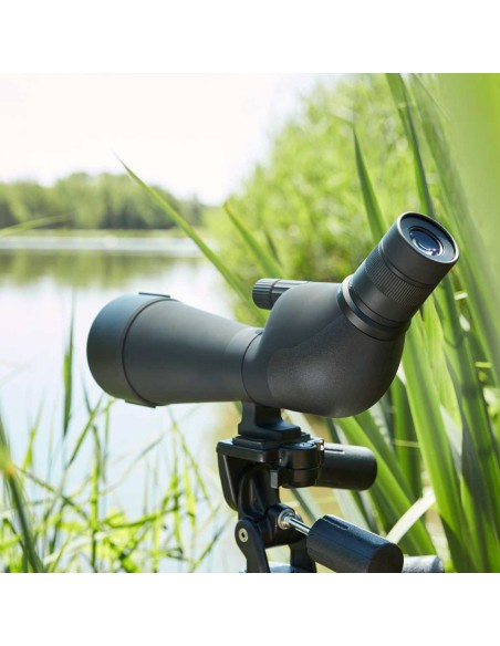 Telescopio NOBLEX NS 20-60x80 ED