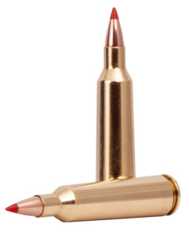 Munición metálica FEDERAL Varmint & Predator Hornady V-Max - 22-250 Rem. - 55 grains