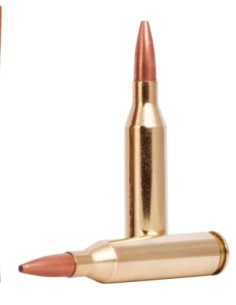 Munición metálica FEDERAL Fusion - 243 Win. - 95 grains 2