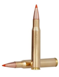 Munición metálica FEDERAL Fusion Tipped - 30-06 - 180 grains 2