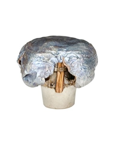 Munición metálica FEDERAL Trophy Bonded Tip - 308 Win. - 180 grains