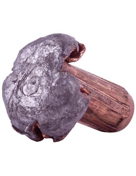 Munición metálica FEDERAL Swift Scirocco II - 300 Win. Mag. - 180 grains