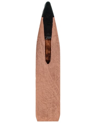 Munición metálica FEDERAL Trophy Copper - 270 WSM - 130 grains