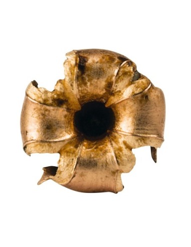 Munición metálica FEDERAL Trophy Copper - 270 WSM - 130 grains