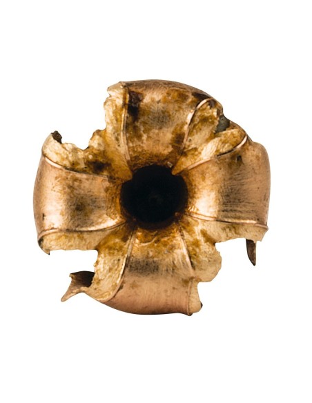 Munición metálica FEDERAL Trophy Copper - 270 WSM - 130 grains